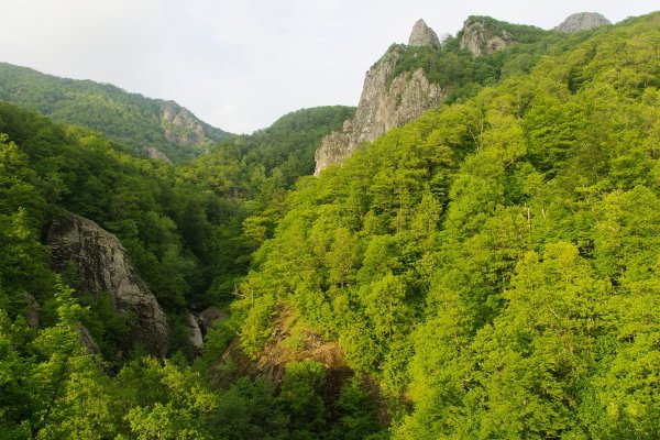 Горы Туапсинского района