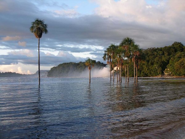 Водопад Канайма Венесуэла