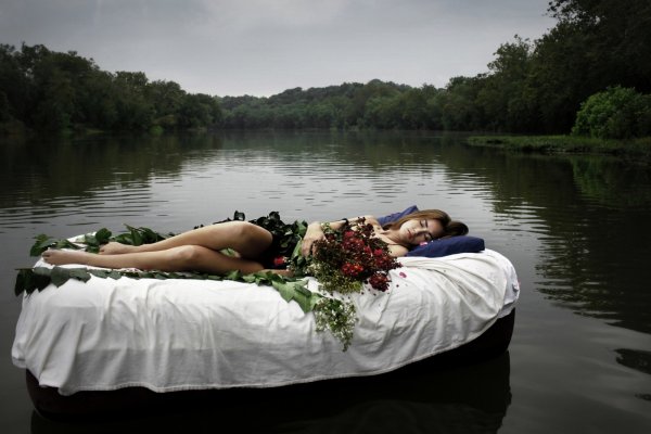 Утро животные