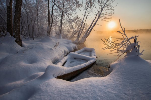 Спячка животных