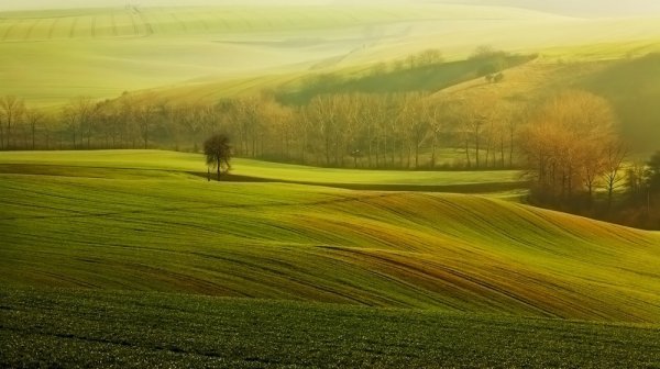 Безмятежная природа