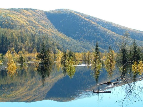 Заповедник Амурской области (Зейский заповедник)