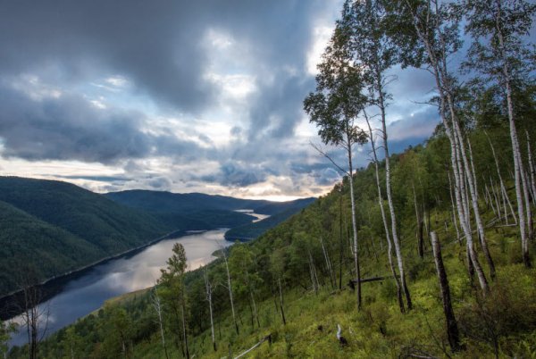 Хинганский заповедник Амурской области