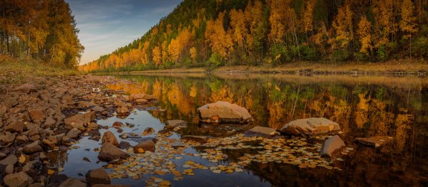 Река Амур Амурская область