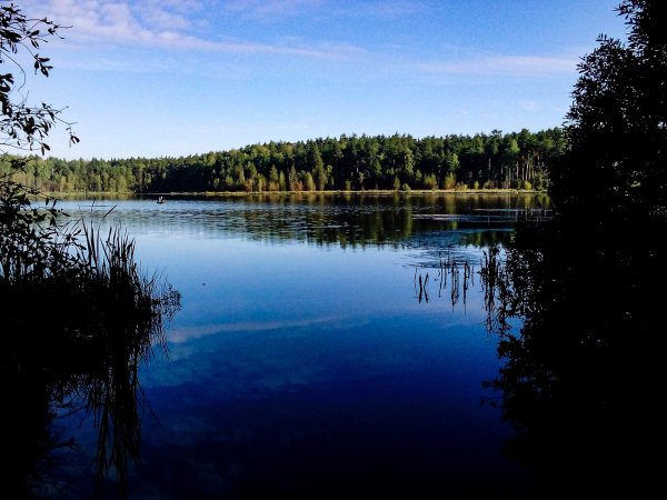 Река Сенеж осенью