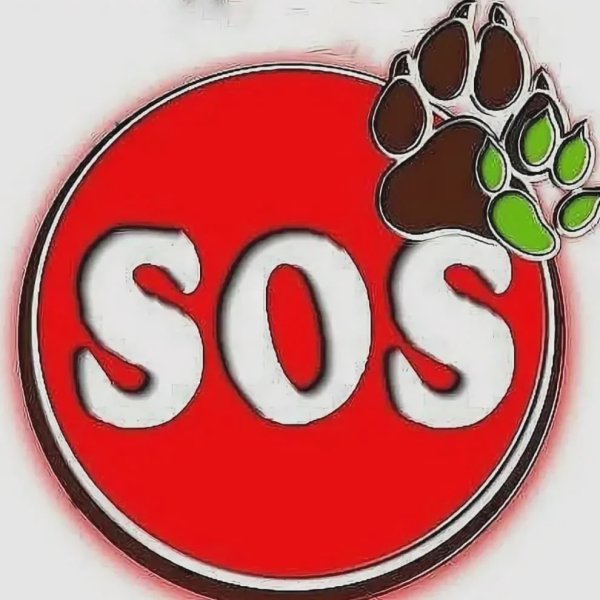 Открытка SOS
