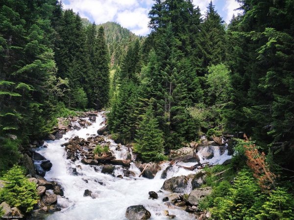 Река Аманауз в Домбае