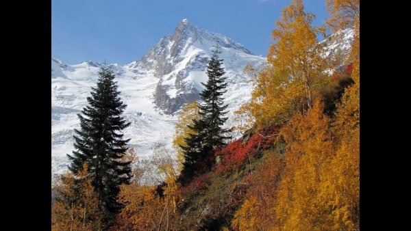 Белалакая Домбай осень