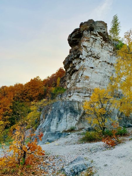 Ширяево Самарская область осень