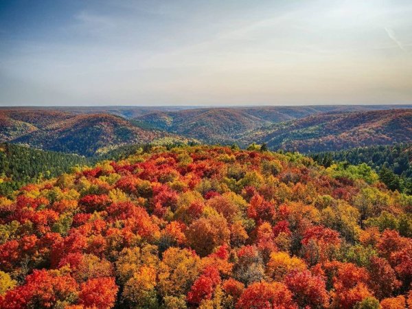 Самарская Губерния природа
