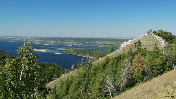 Сосны и Жигулёвское море Тольятти