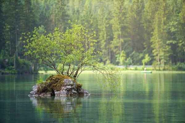 Маленькое озеро в лесу