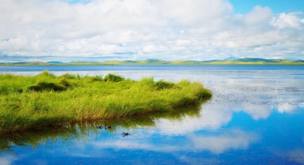 Речка с островком