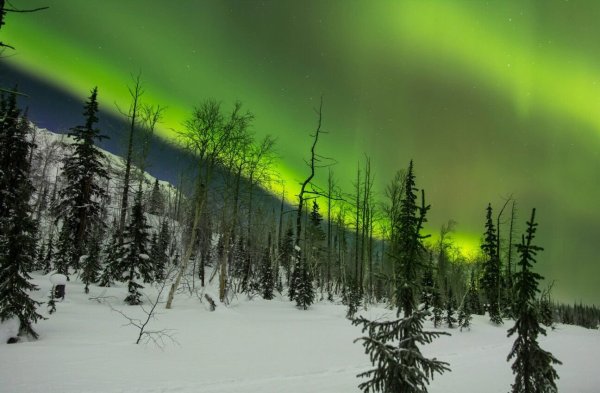 Тундра Норильск природа