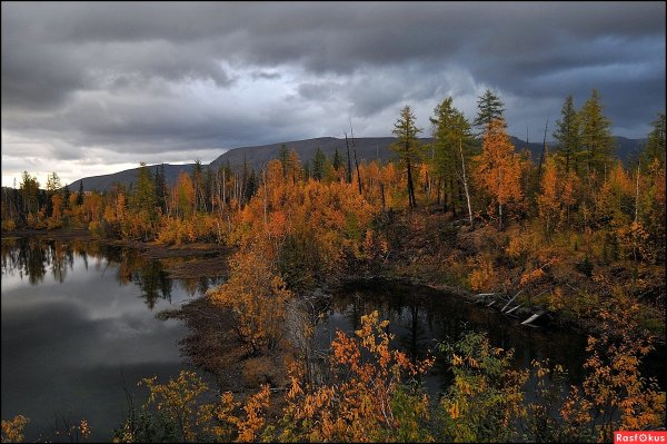 Тундра Норильск природа