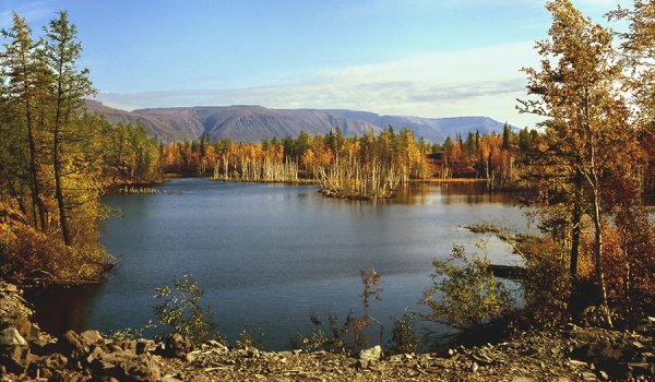 Тундра Норильск лето