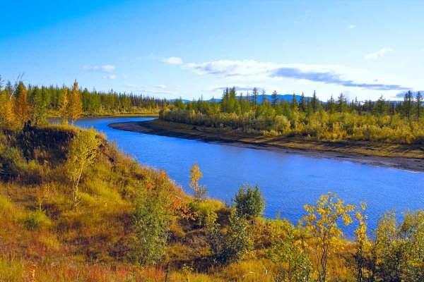 Осень тундра Норильск Талнах