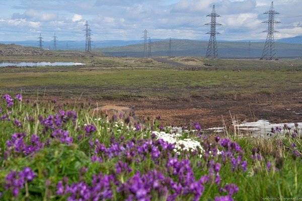 Тундра Норильск лето