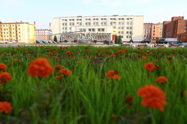 Мончегорск мертвый лес