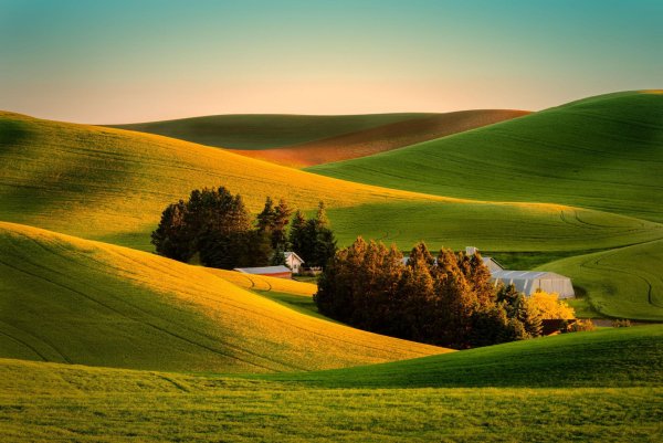 Пейзаж горы лес