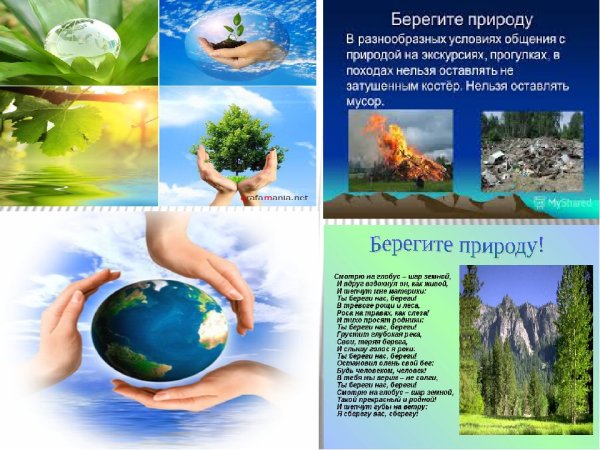 Брошюра по защите природы