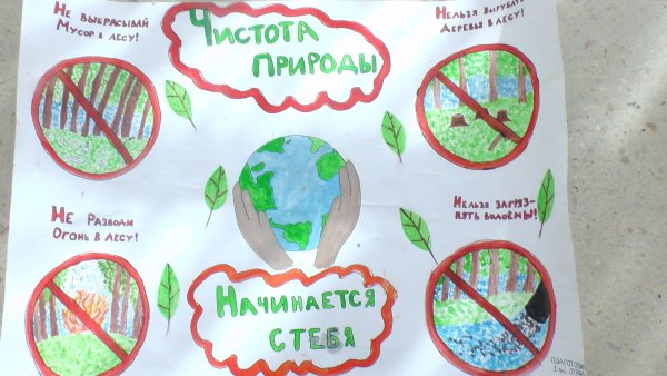 Плакат на тему сохранение природы