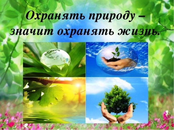 Экология берегите природу