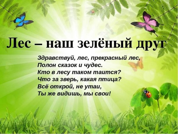 Охрана природы и животных