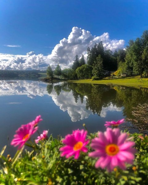 Красивая природа рассвет