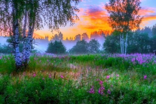 Рассвет души