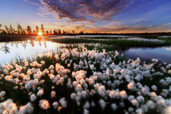 Красивая природа