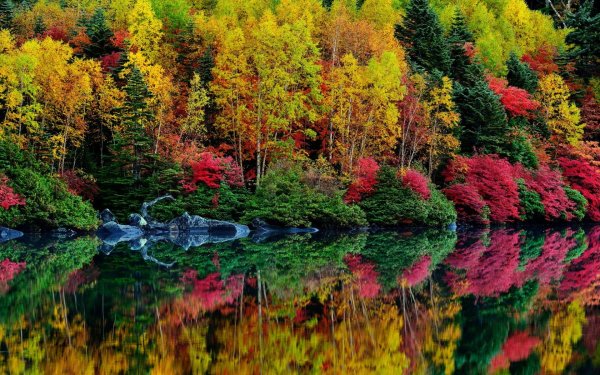 Родина Россия природа