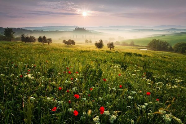 Природа Афанасьевский район