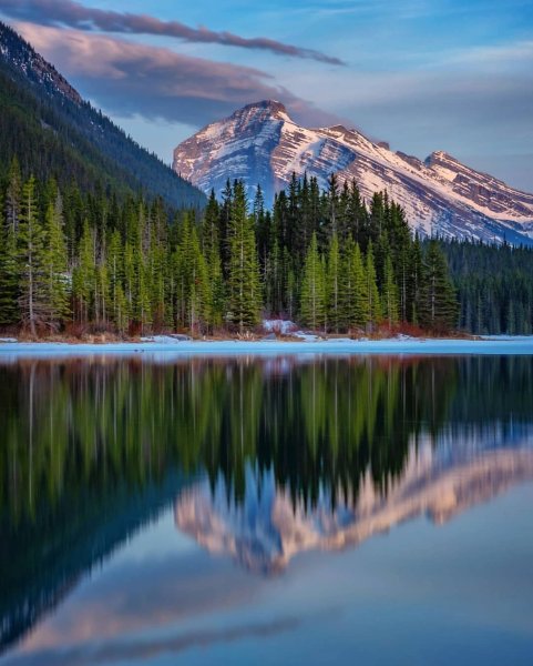 Природа родного края