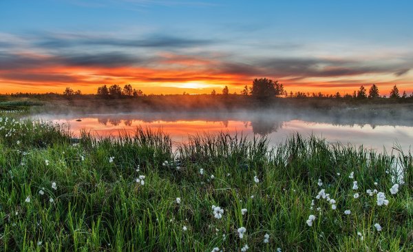 Красота русской природы