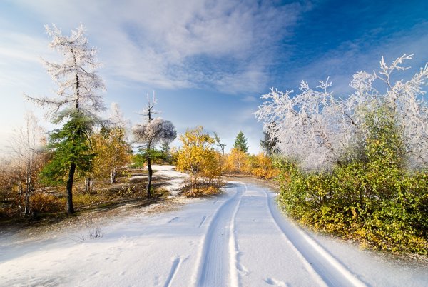 Весна весенние изменения в природе