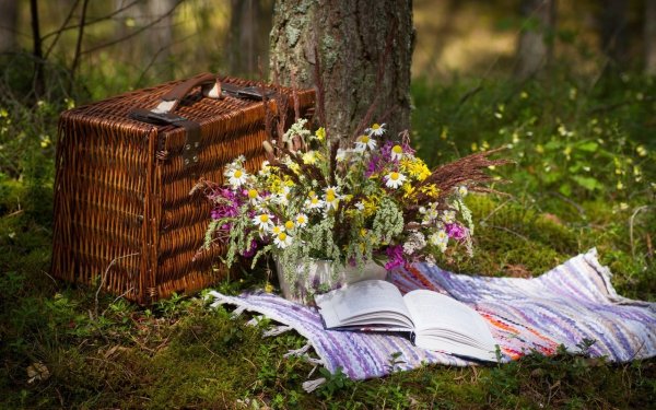Книга природа
