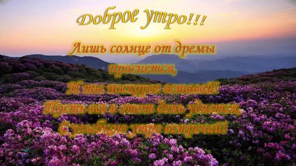 Доброе утро, мир