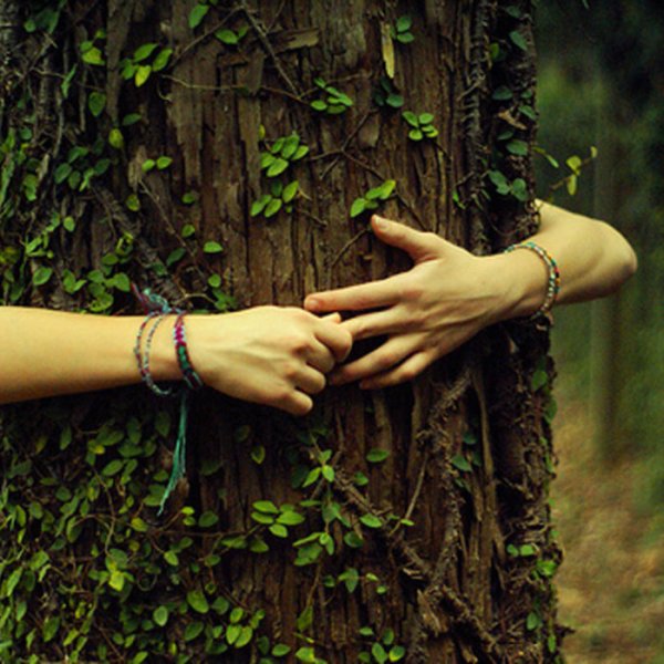 Tree hugging 2021