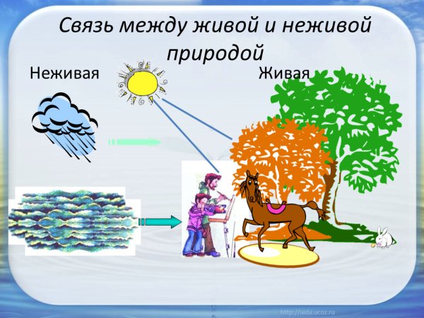 Человек медитирует на природе