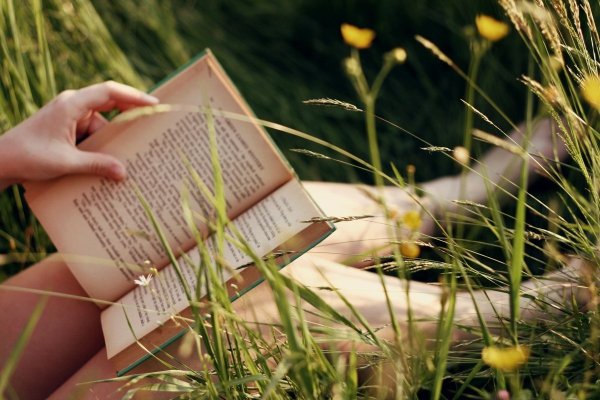 Чтение книги на природе