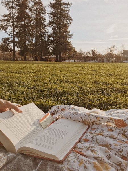 Фотосессия с книжкой на природе