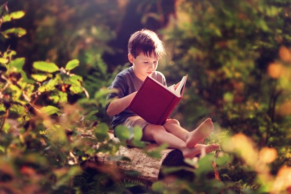 Мальчик читает книгу