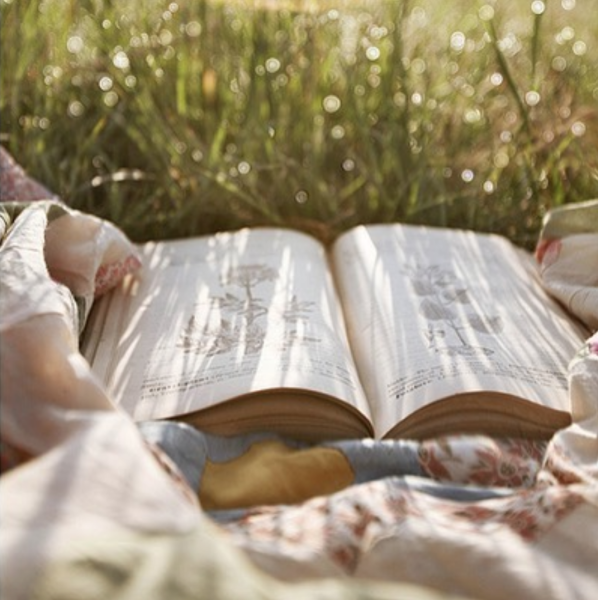 Лето с книгой