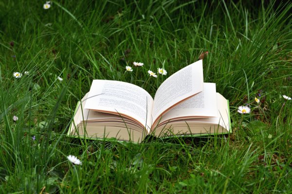 Книга на траве