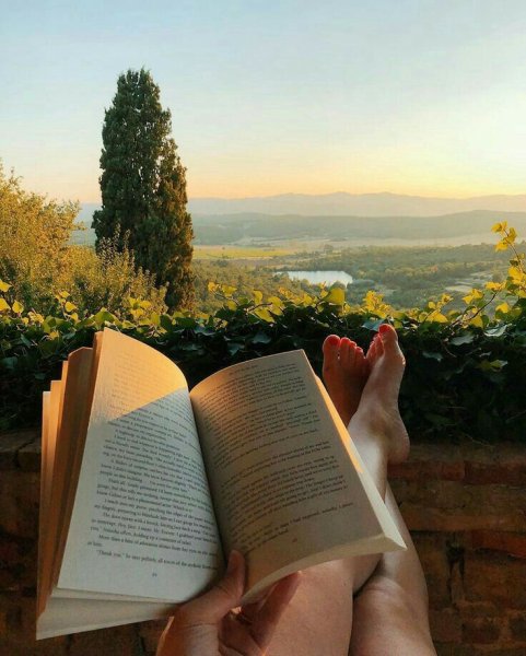 Лето с книгой
