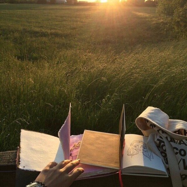 Чтение Эстетика