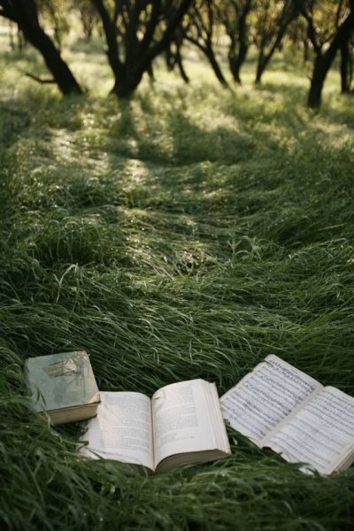 Книга природа