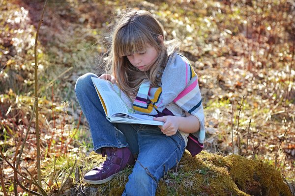 Книга природа