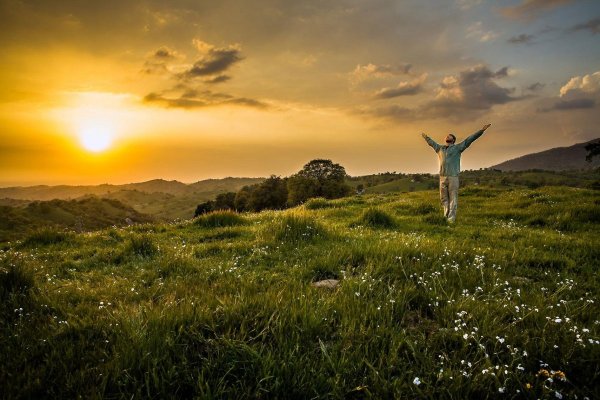 Природа в руках